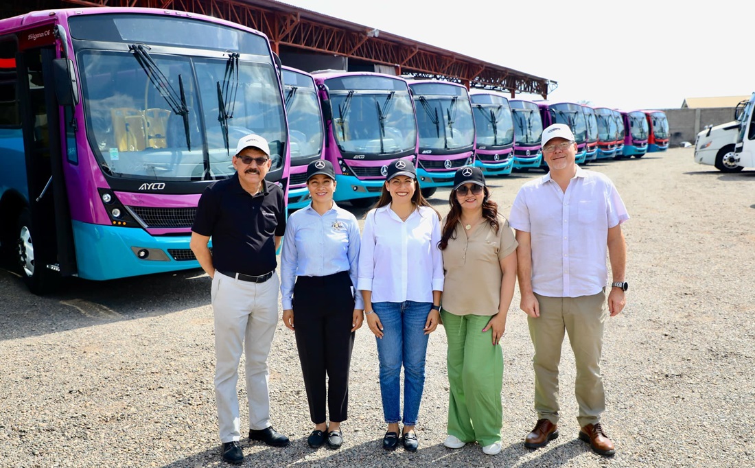 Tiburón Urbano, La Paz, Mercedes Buses