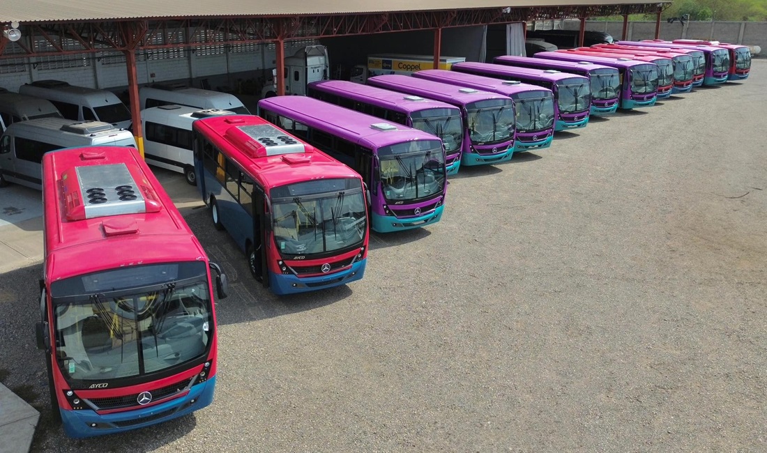 Tiburón Urbano, La Paz, Mercedes Buses