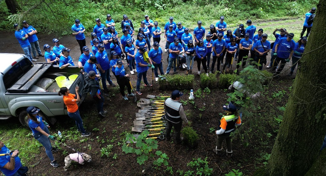 Reforestación ANPACT 2024