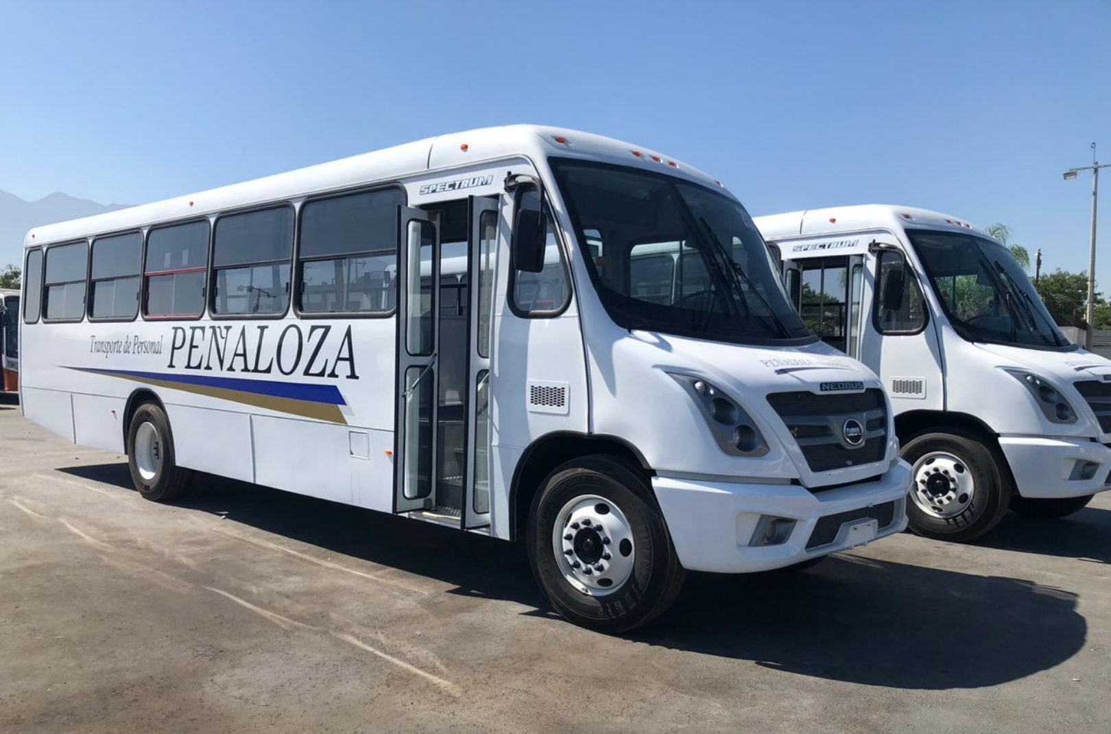 Transportes Peñaloza DINA RUNNER