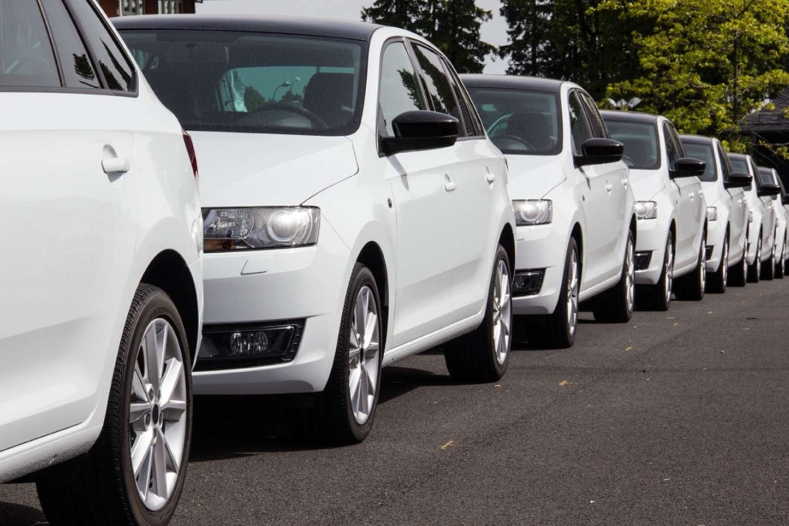 Alamo, Avis, National y Enterprise AMAVE 