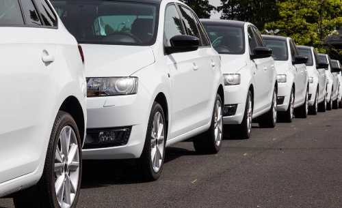 Alamo, Avis, National y Enterprise AMAVE