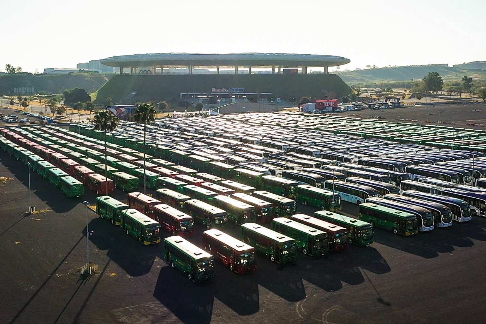Jalisco 639 Buses
