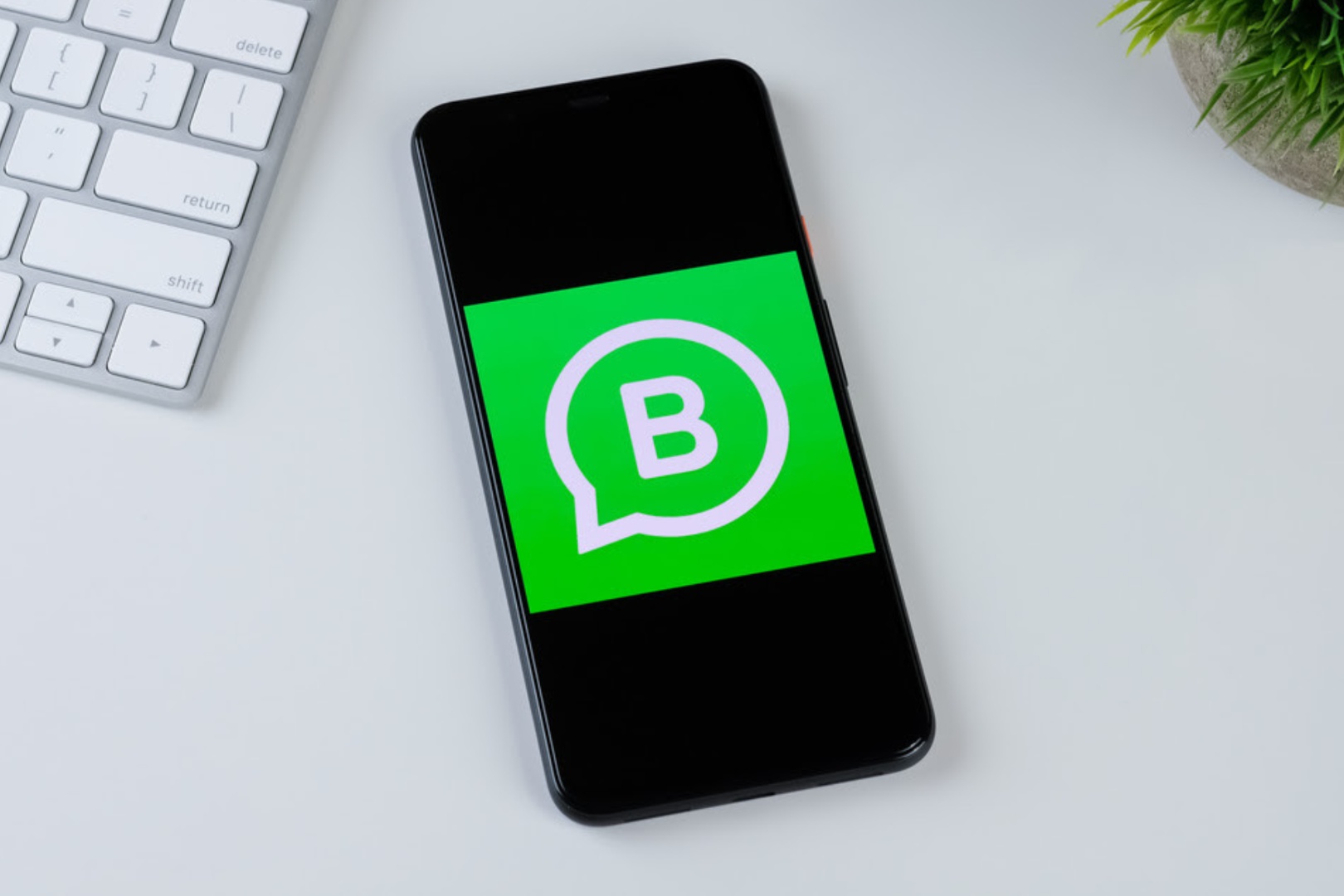 WhatsApp Business Napse Automotriz