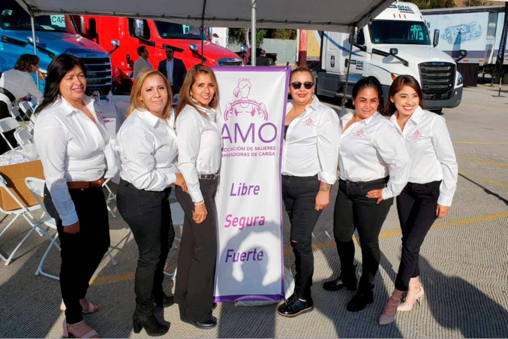 Daimler Freightliner Gira AMO